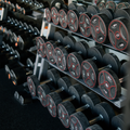 Custom Plan — Training & Nutrition